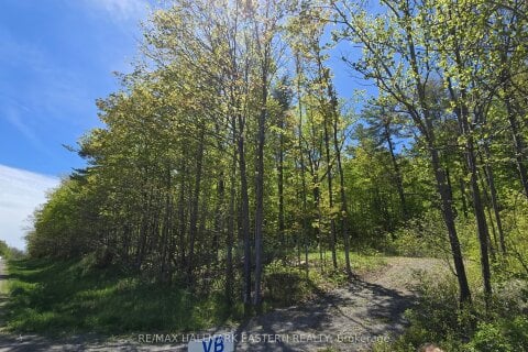 Additional image 7 of N/A County Road 30 N/a, Trent Hills, ON, K0L 1L0