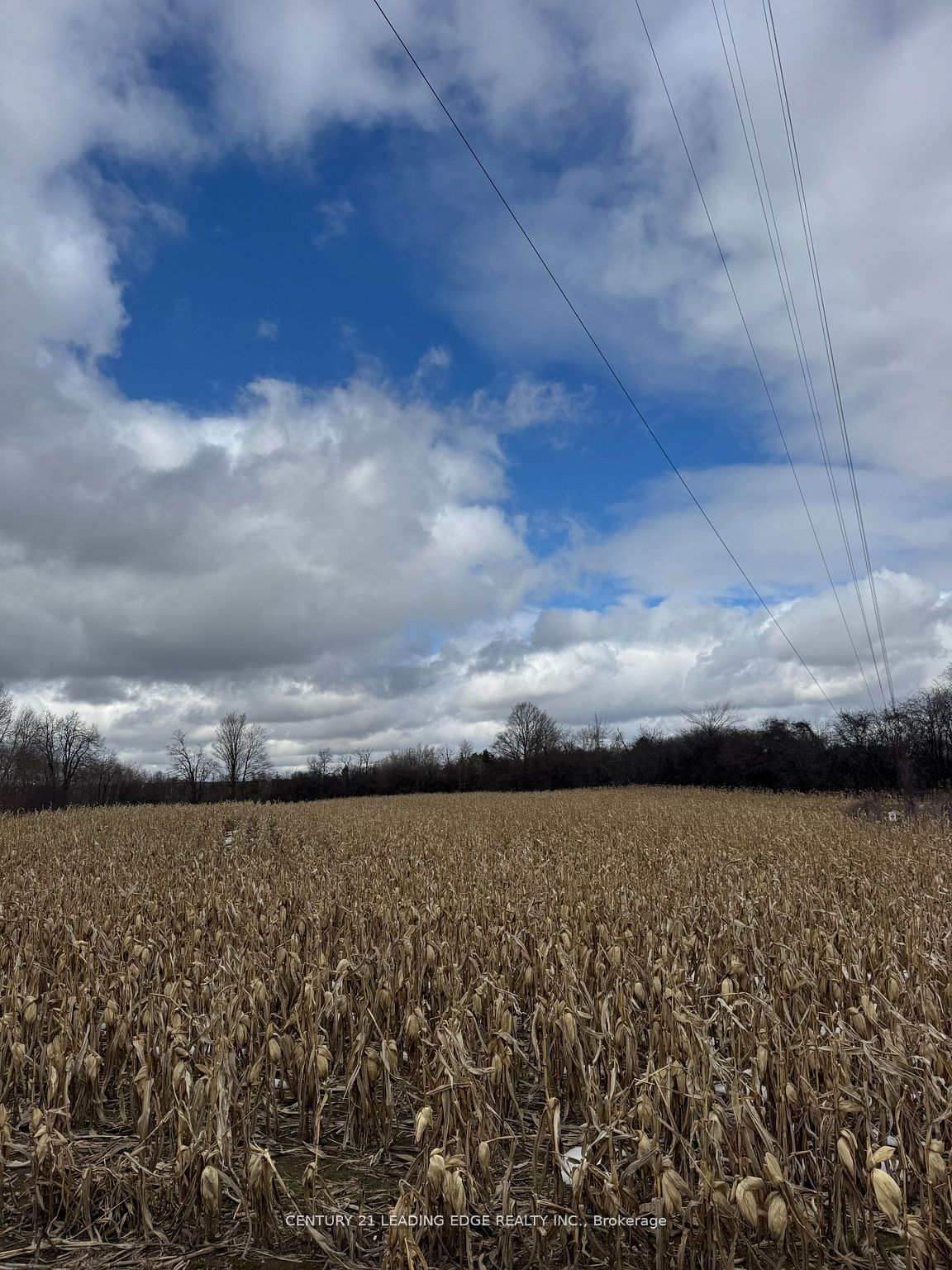 Additional image 4 of 8700 Coronation Road, Whitby, ON, L0B 1A0