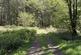 Additional image 35 of Buckland Filleigh, Beaworthy, Devon