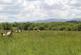 Additional image 35 of Hatherleigh, Okehampton, Devon EX20