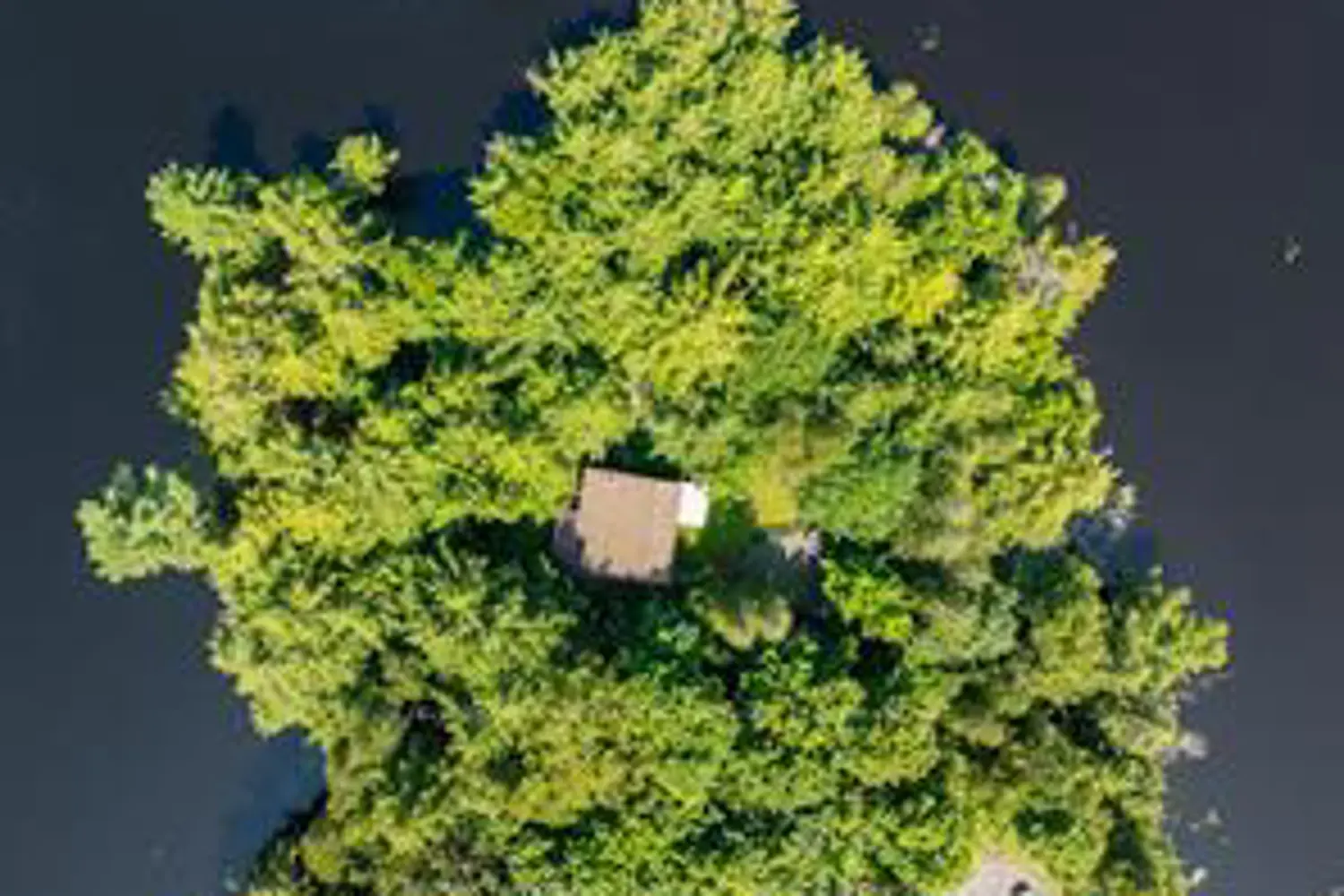 18 Meharg Drive