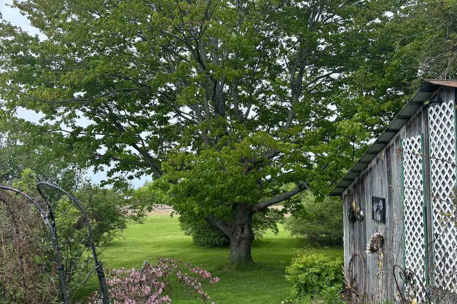 Additional image 3 of 10476 Ronson Road