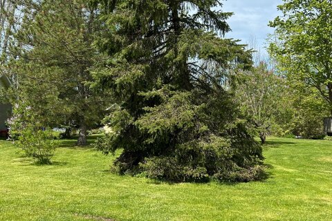 Additional image 8 of 13 Pollard Drive, Meaford, ON, N4L 1A7