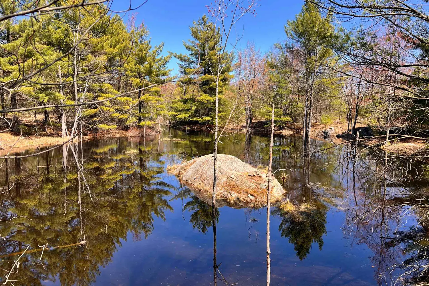 Additional image 19 of 2355 Raymo Road