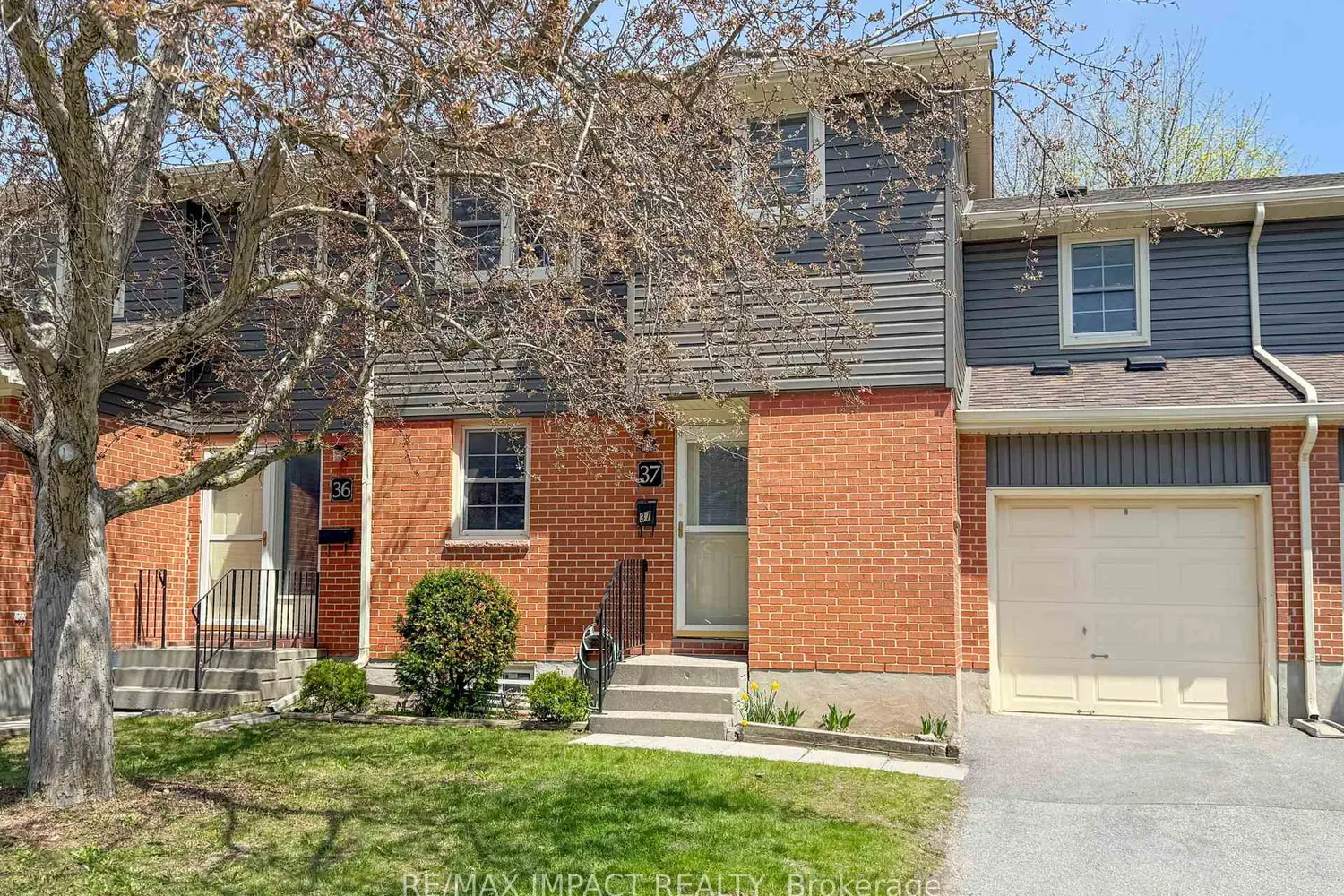 19 Macpherson Avenue 37