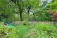 Additional image 9 of Woodside Crescent, Newchurch, Rossendale, BB4