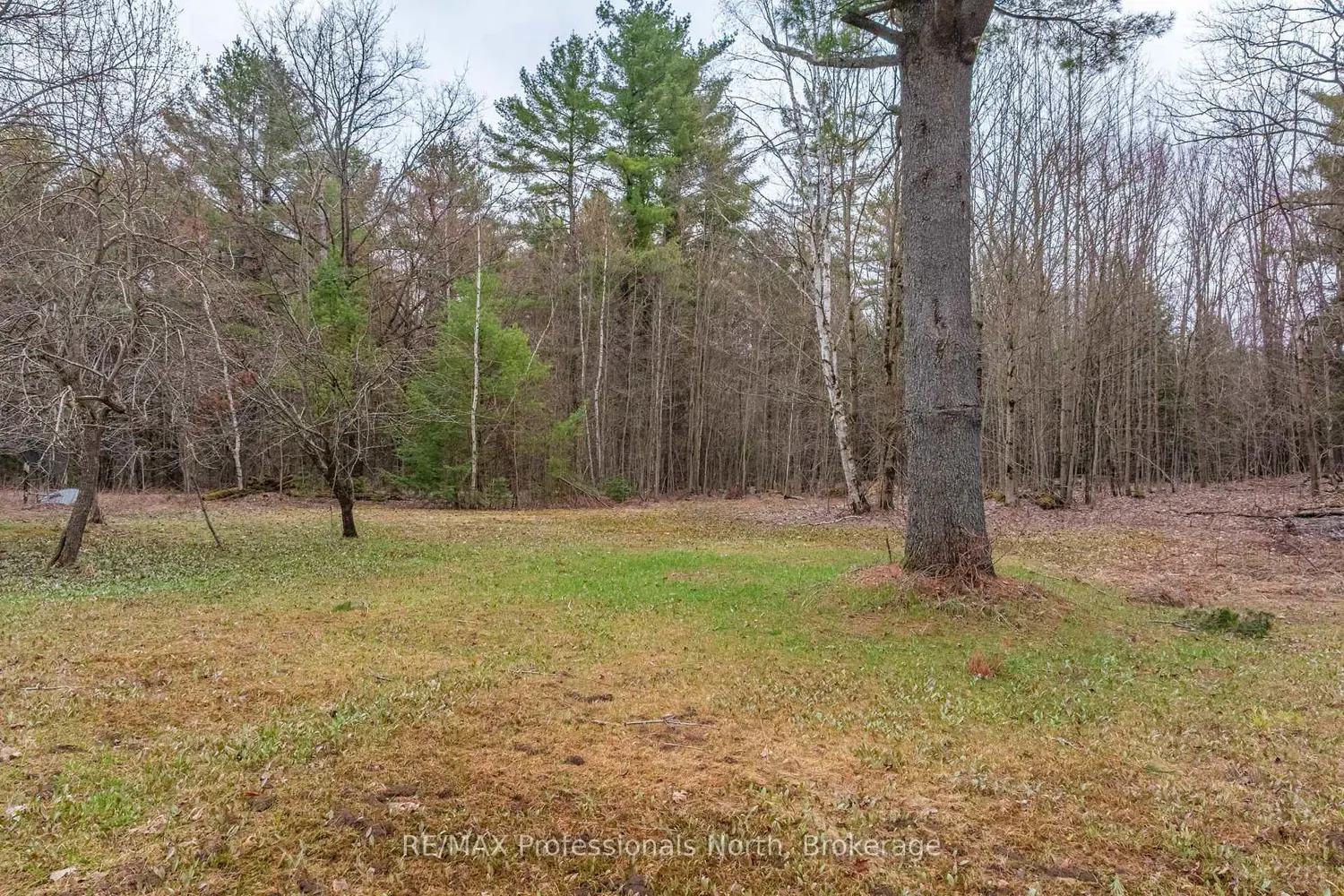 Additional image 4 of 1056 Kirk Line