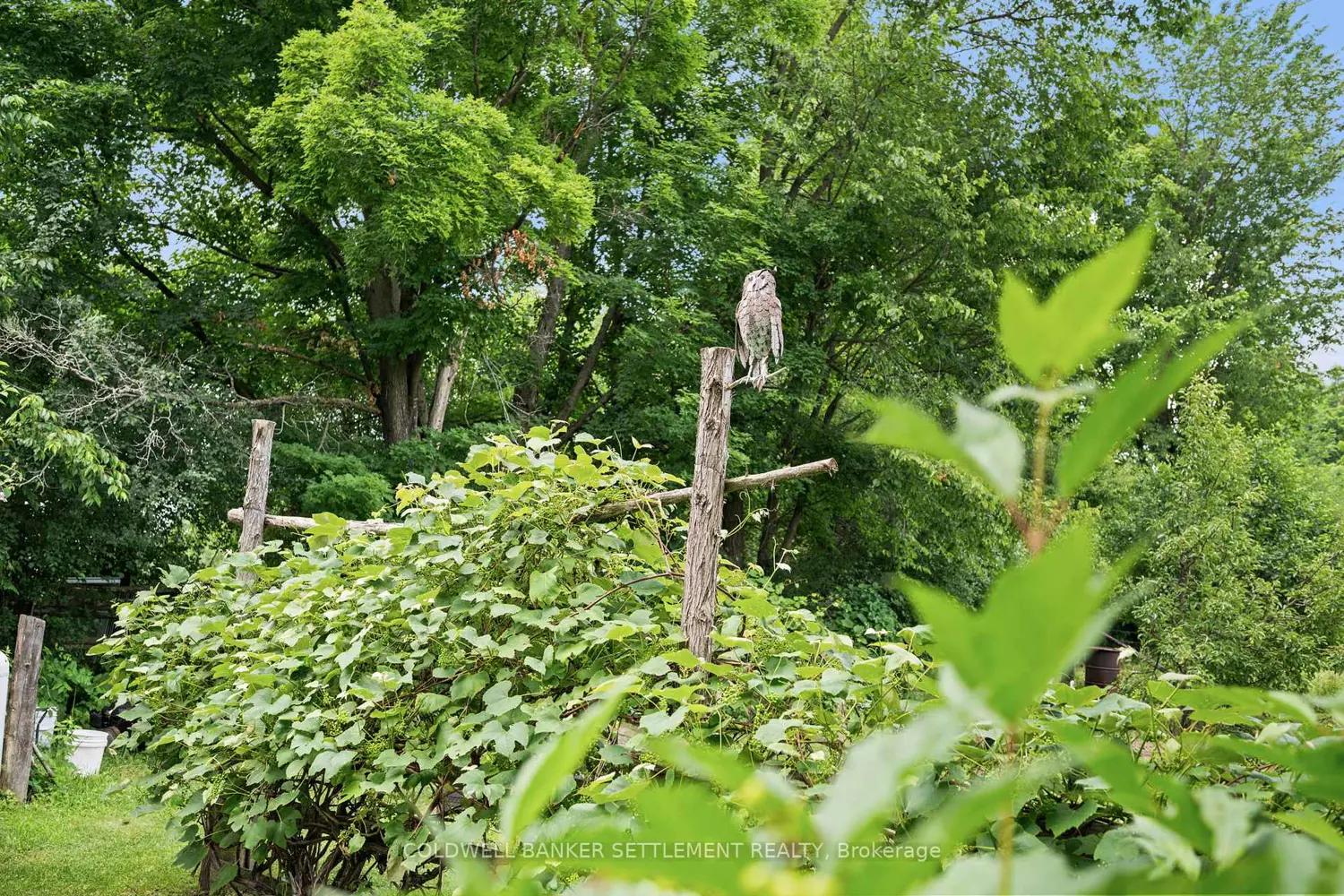 Additional image 6 of 394 Elliott Road