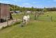 Additional image 55 of Lamancha, West Linton, EH46