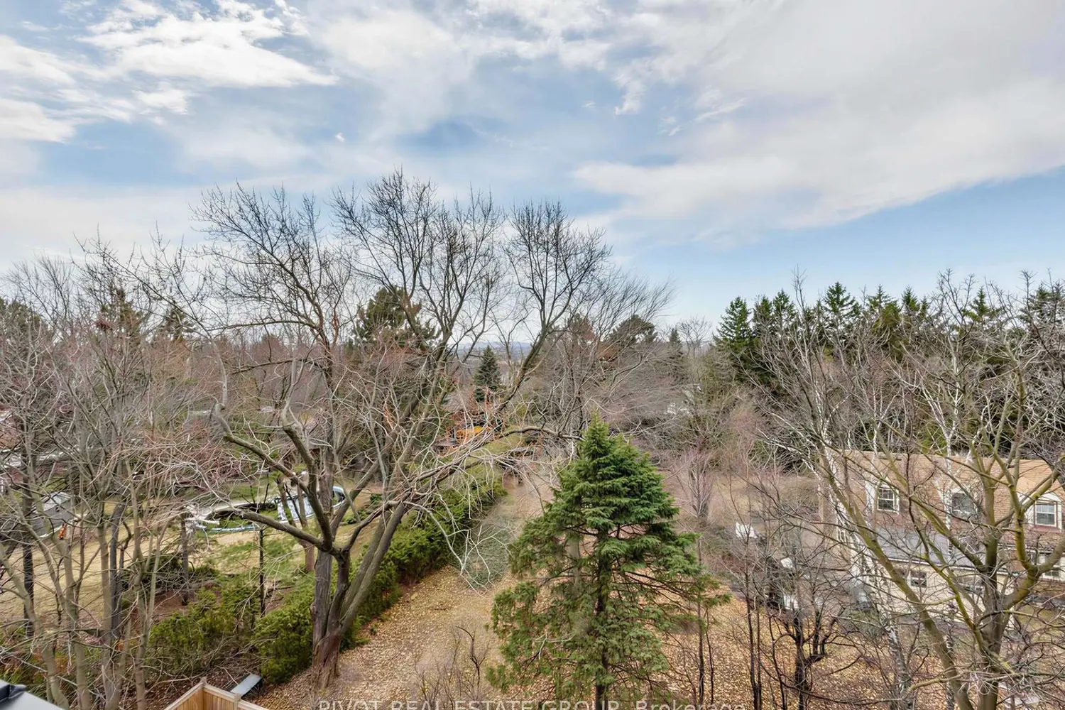 Additional image 19 of 60 Elizabeth Street 3407
