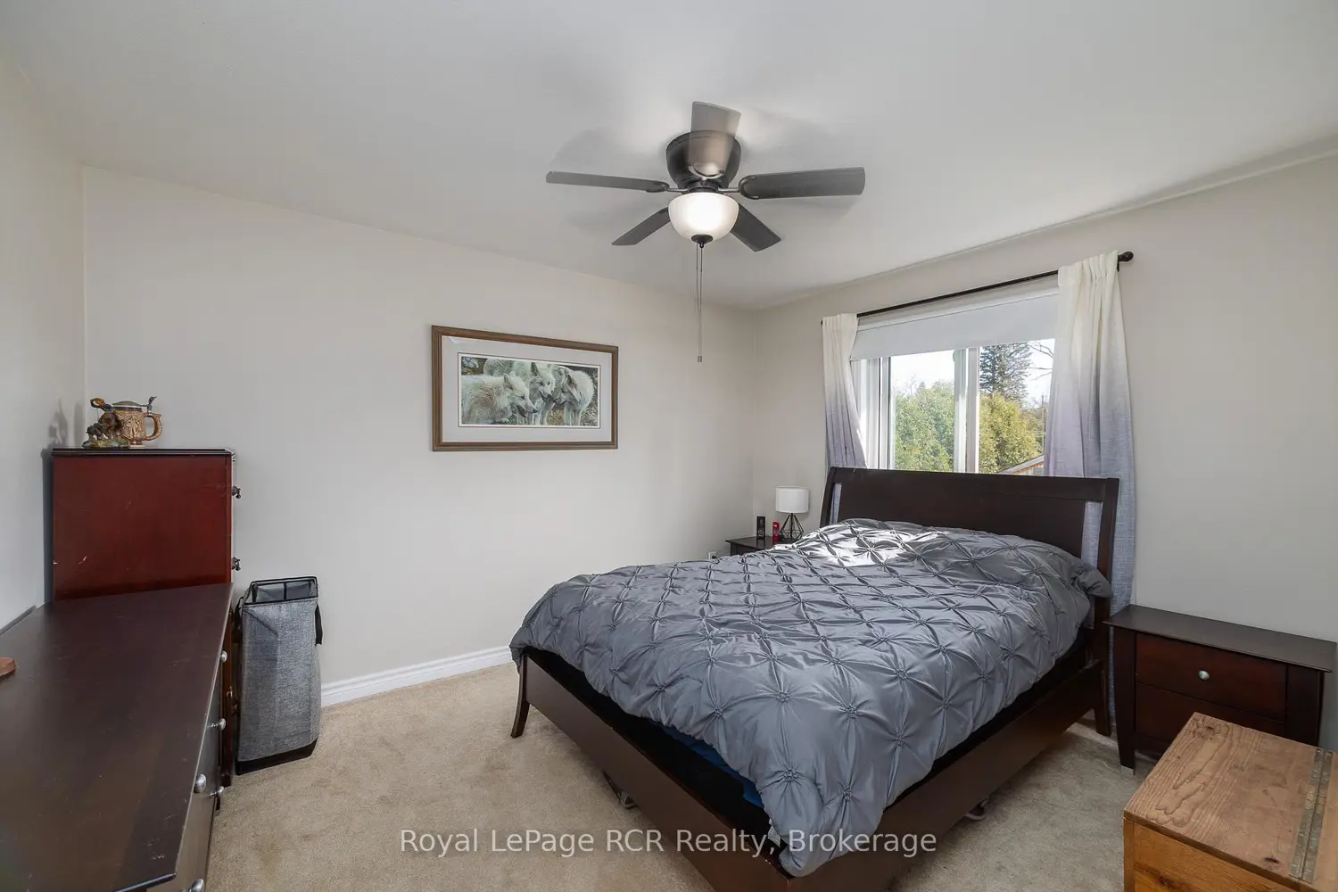 123 Douglas Street photo 5