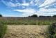 Additional image 24 of High Wych Lane, High Wych, Sawbridgeworth, CM21