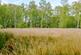 Additional image 34 of Tranwell Woods, Morpeth NE61