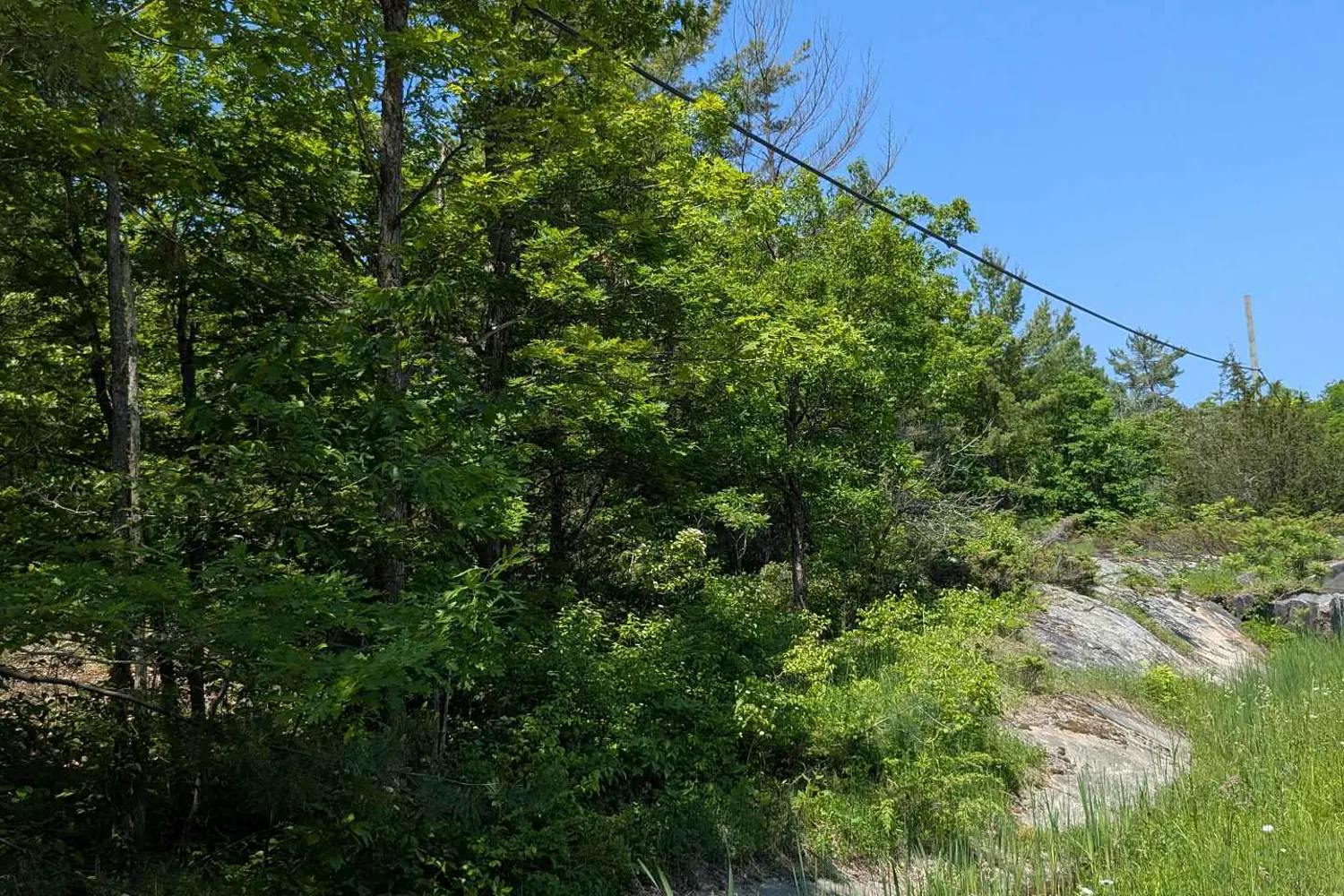 Additional image 4 of 559 Honey Harbour Road