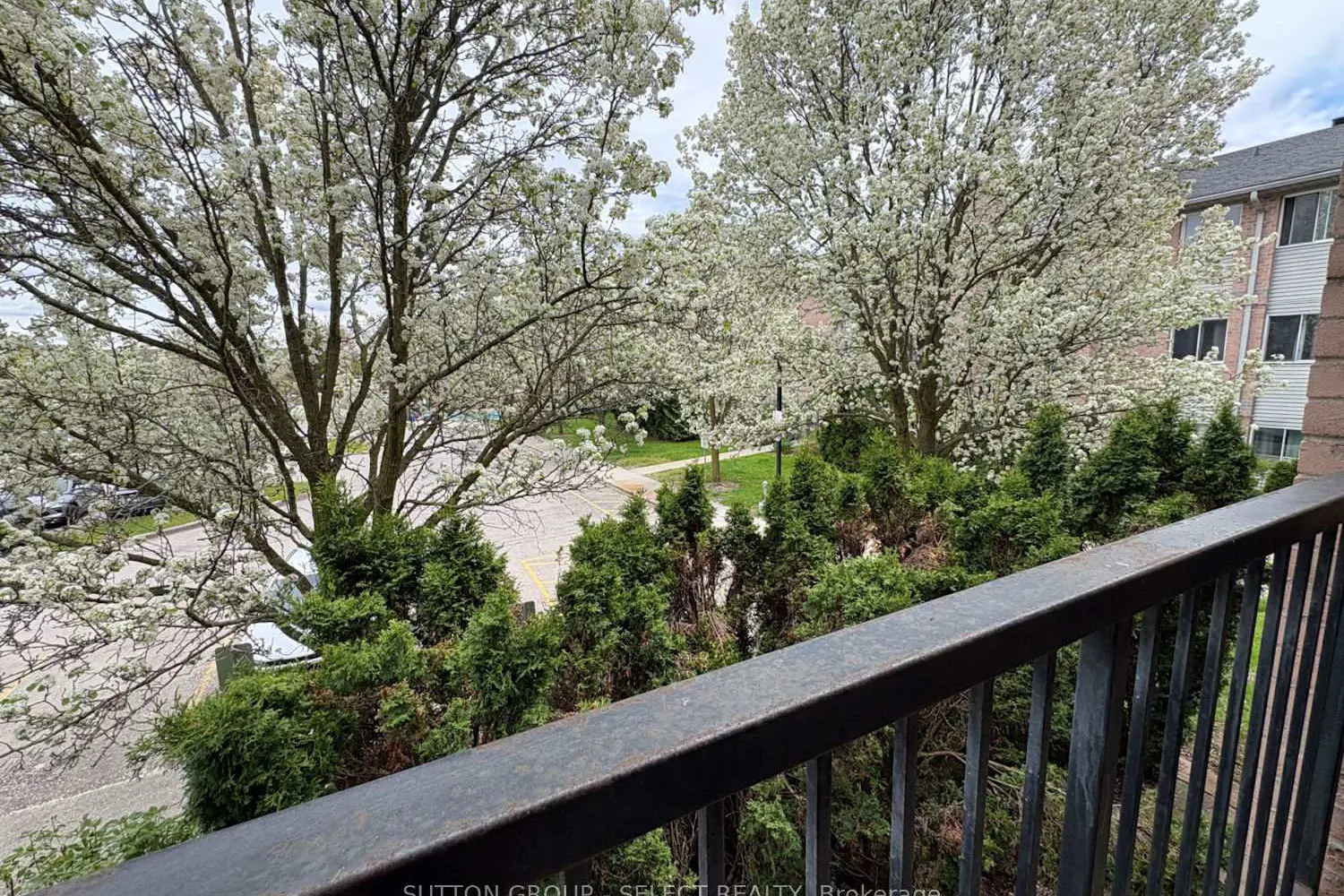 Additional image 9 of 2228 Trafalgar Street 226