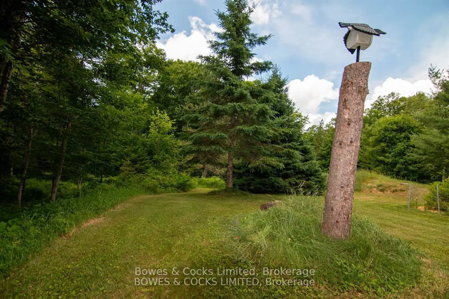 Additional image 17 of 72 Jones Road