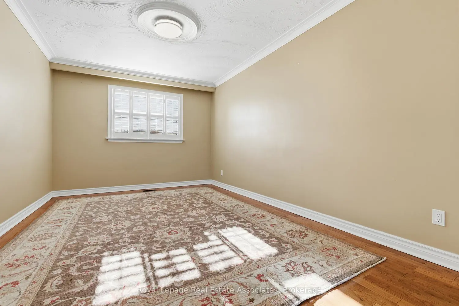 Additional image 4 of 117 Harding Avenue