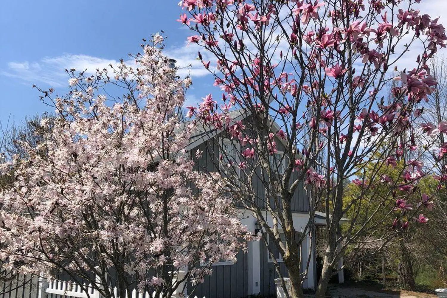 Additional image 17 of 137295 Grey Road 12