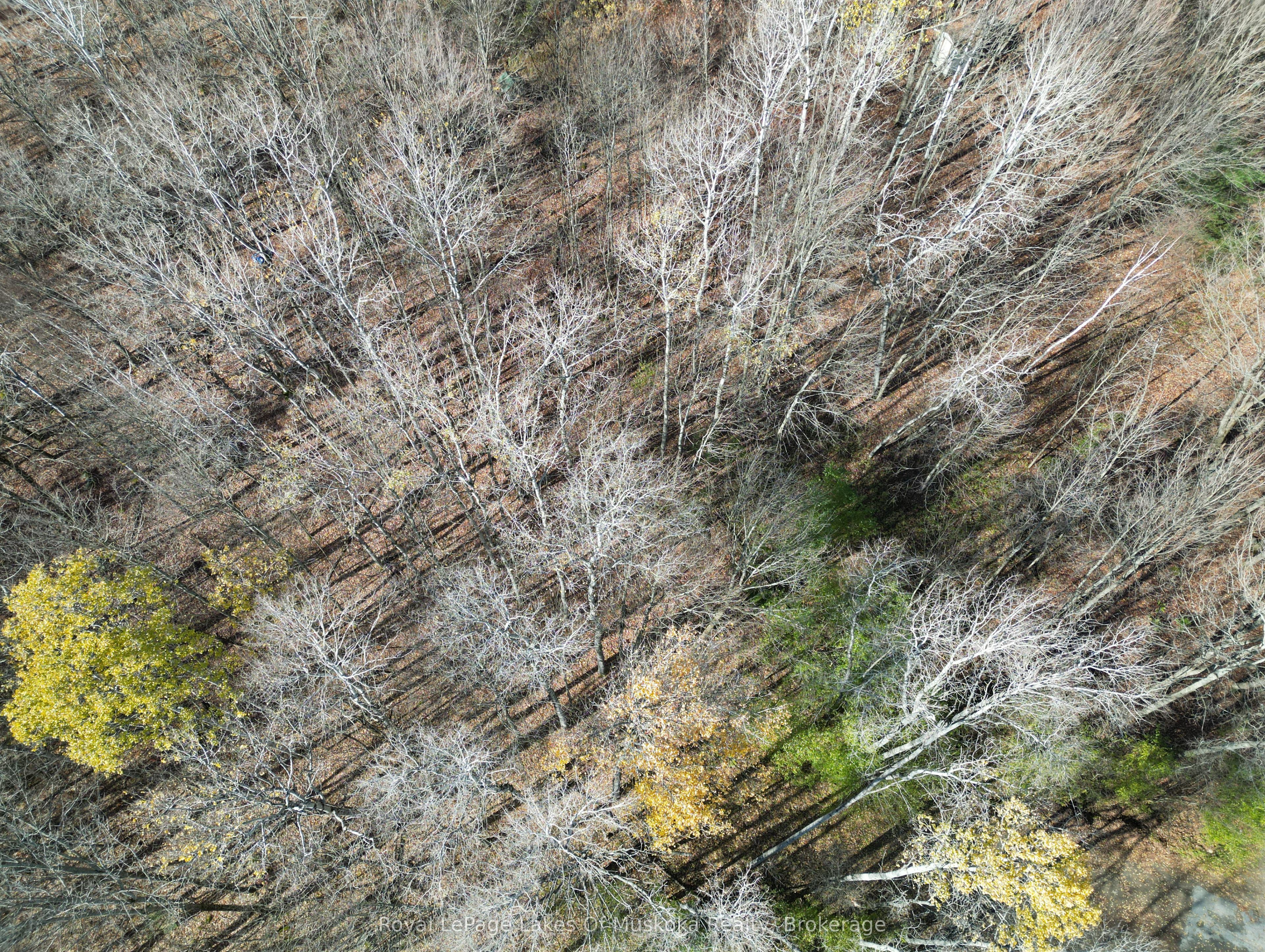 Additional image 6 of 8 Rice Lane, Huntsville, ON, P1H 1V4