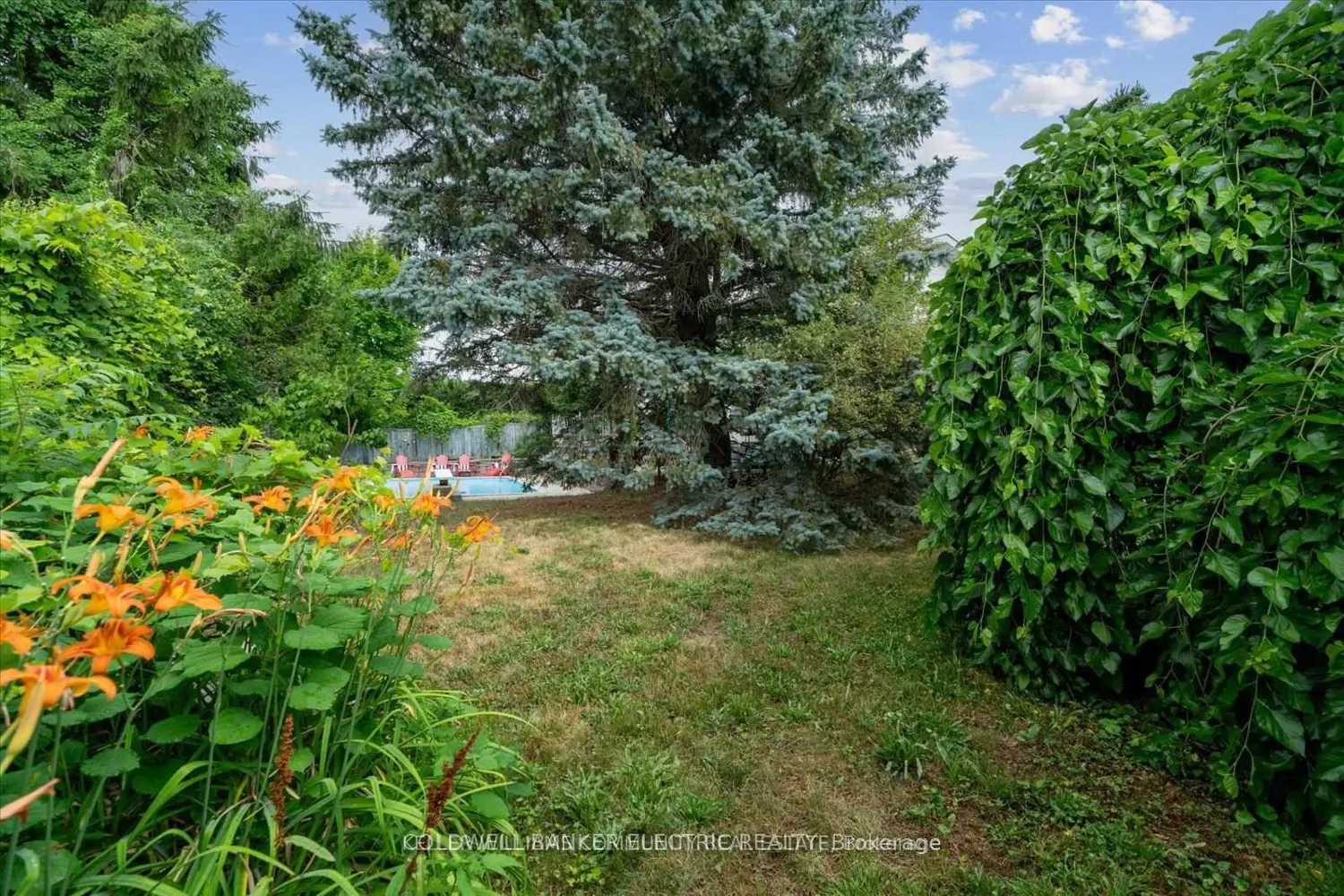 Additional image 18 of 11 Bayleaf Court