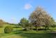 Additional image 26 of Hatherleigh, Okehampton, Devon EX20