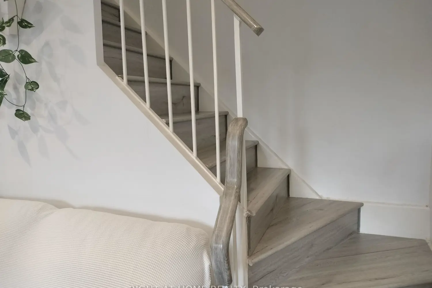 Additional image 3 of 16B Elgin Street 357
