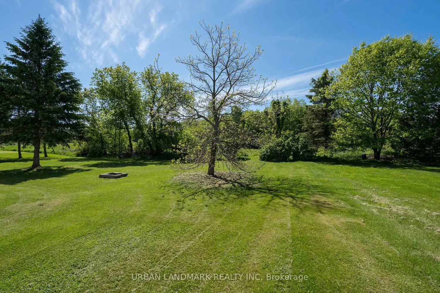 Additional image 19 of 225 St Lawrence Street