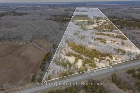 Additional image 7 of Across From 3904 Cty Rd 49 N/a, Prince Edward County, ON, K0K 2T0