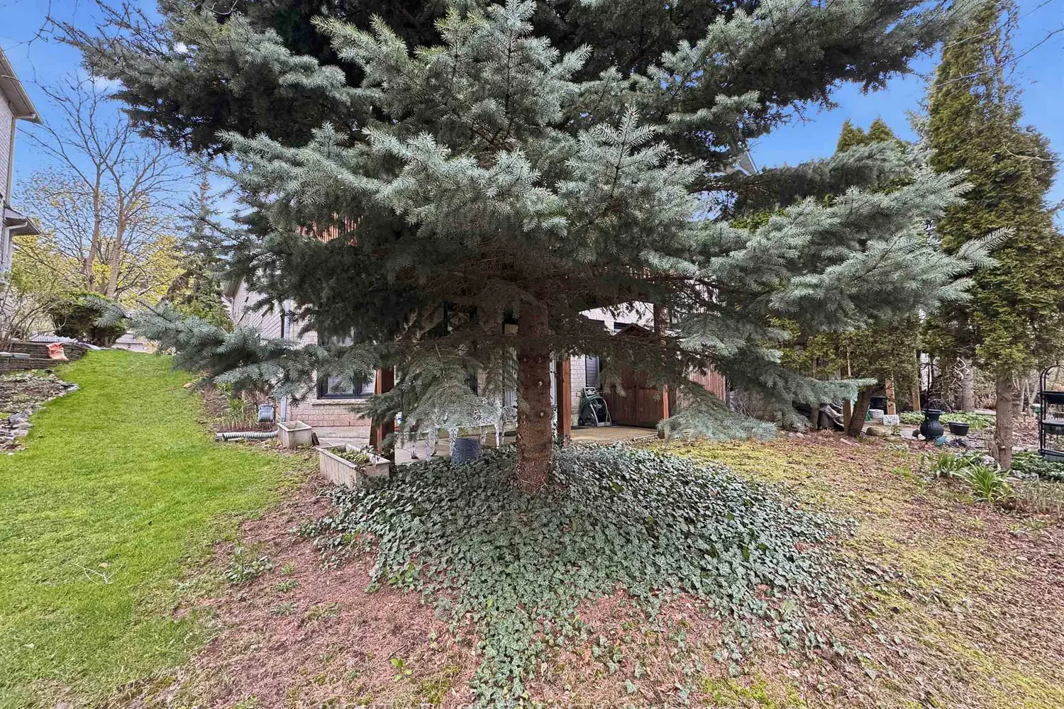 Additional image 20 of 2121 Pinevalley Crescent