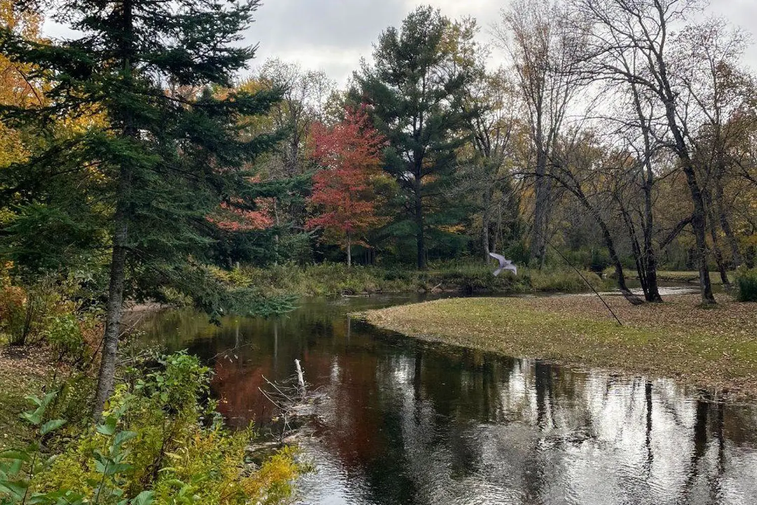 Additional image 17 of 161 Mcfadden Road