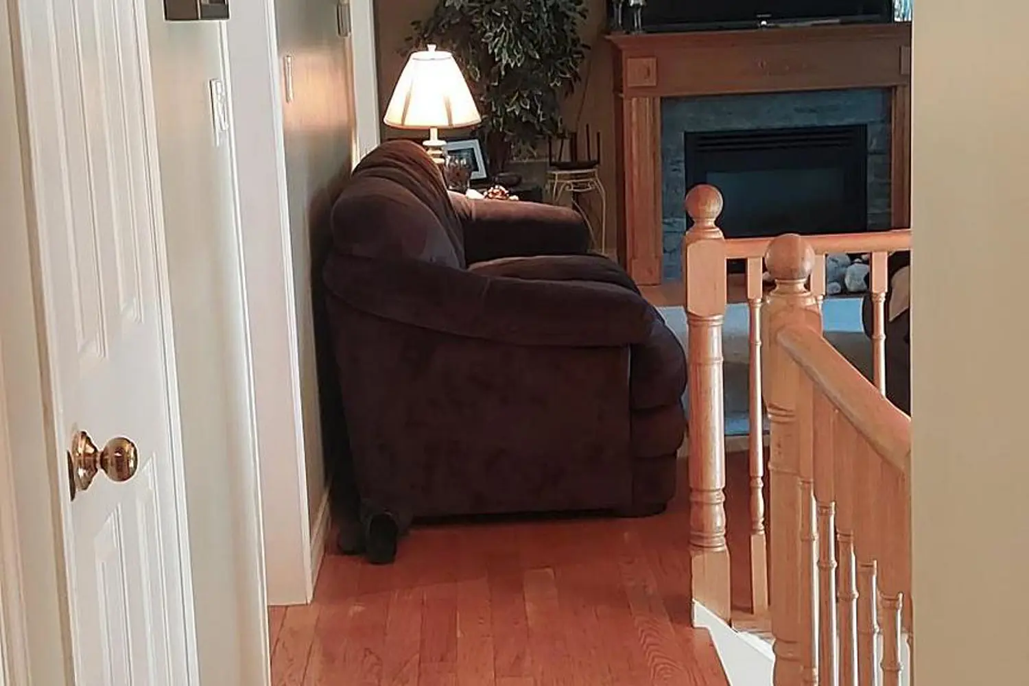 167 Williamson Drive photo 5