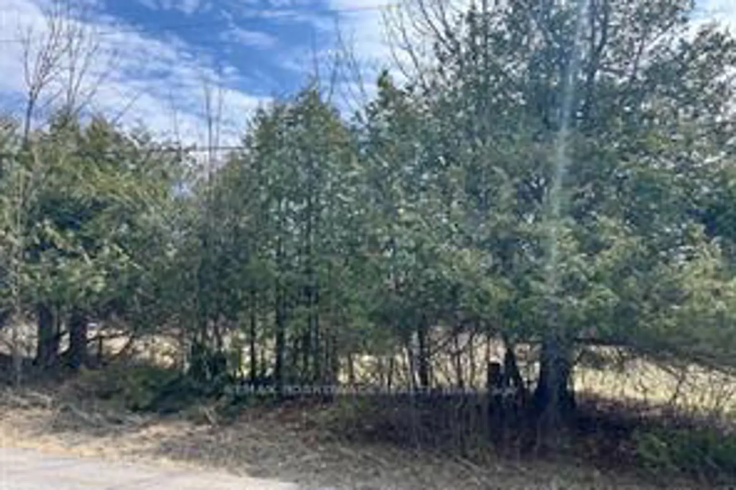 Additional image 6 of Lot 138 Bourne Road