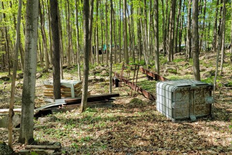 Additional image 6 of Lot 15 James Street, Tweed, ON, K0K 2L0