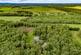 Additional image 38 of Tranwell Woods, Morpeth NE61