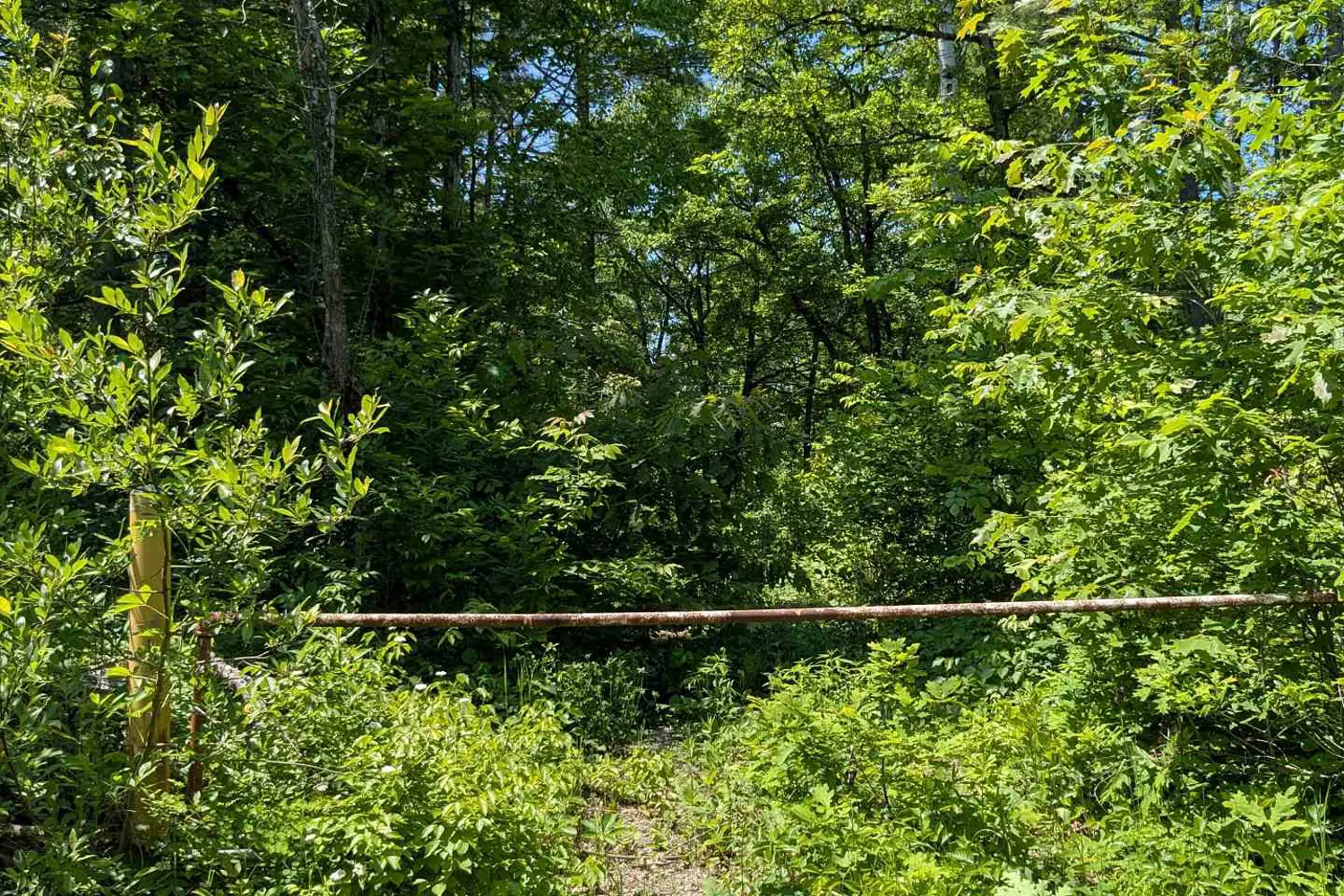 Additional image 5 of 559 Honey Harbour Road