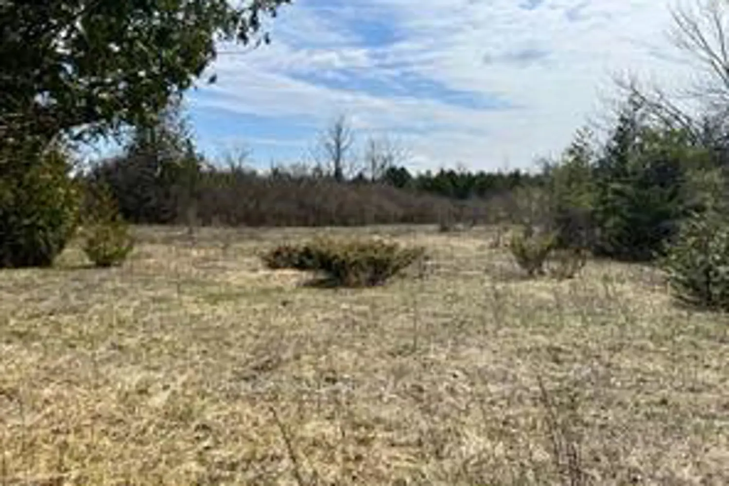 Additional image 5 of Lot 138 Bourne Road