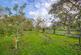 Additional image 30 of Rural setting Nr. Wookey
