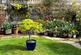 Additional image 26 of Hopper Gardens, Musselburgh EH21