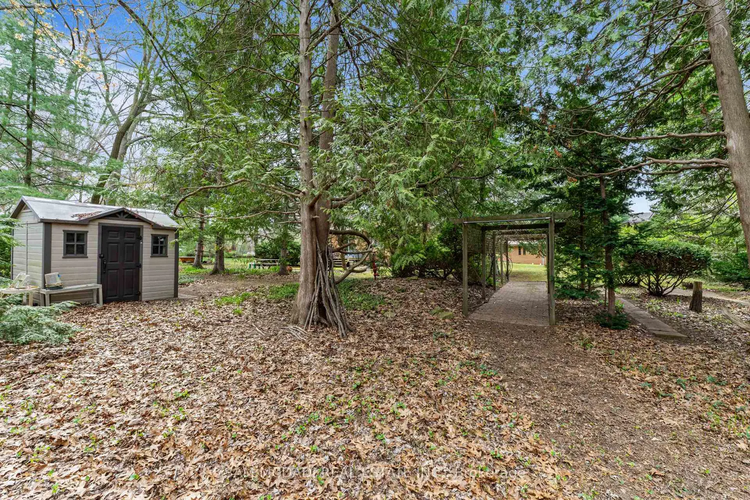 Additional image 10 of 1484 Indian Road