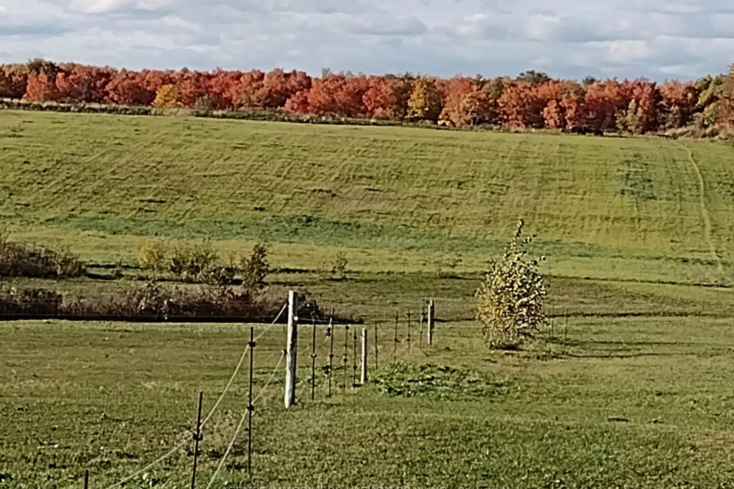 Additional image 9 of 21237 Concession 6 Road