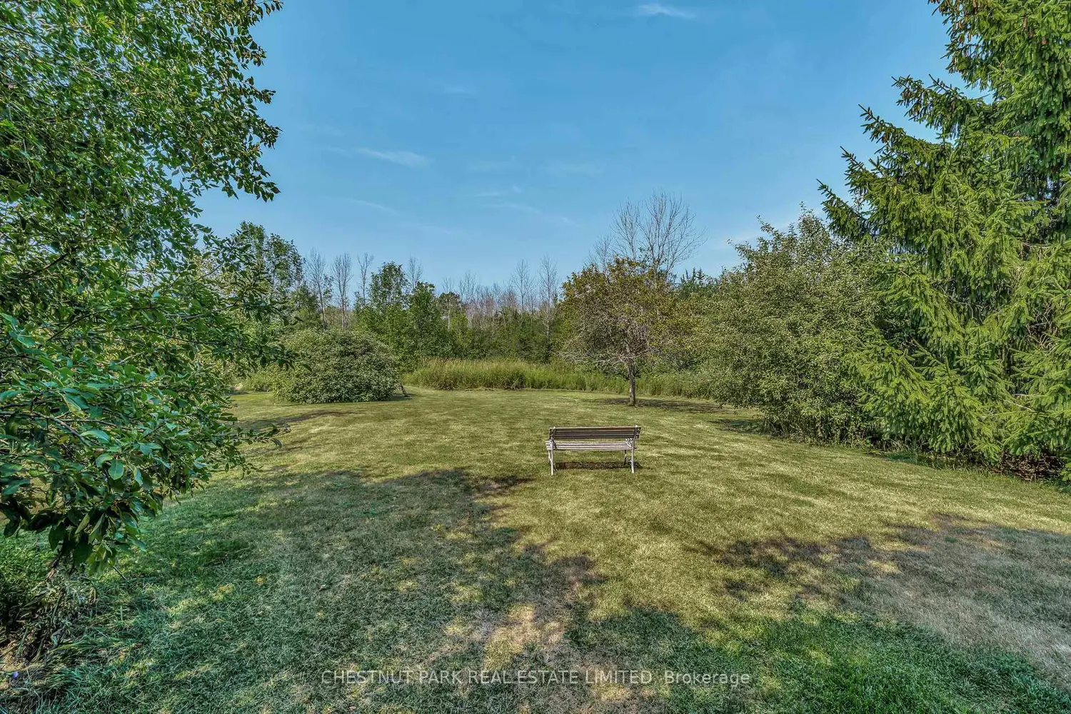 Additional image 20 of 207 Carnrike Road