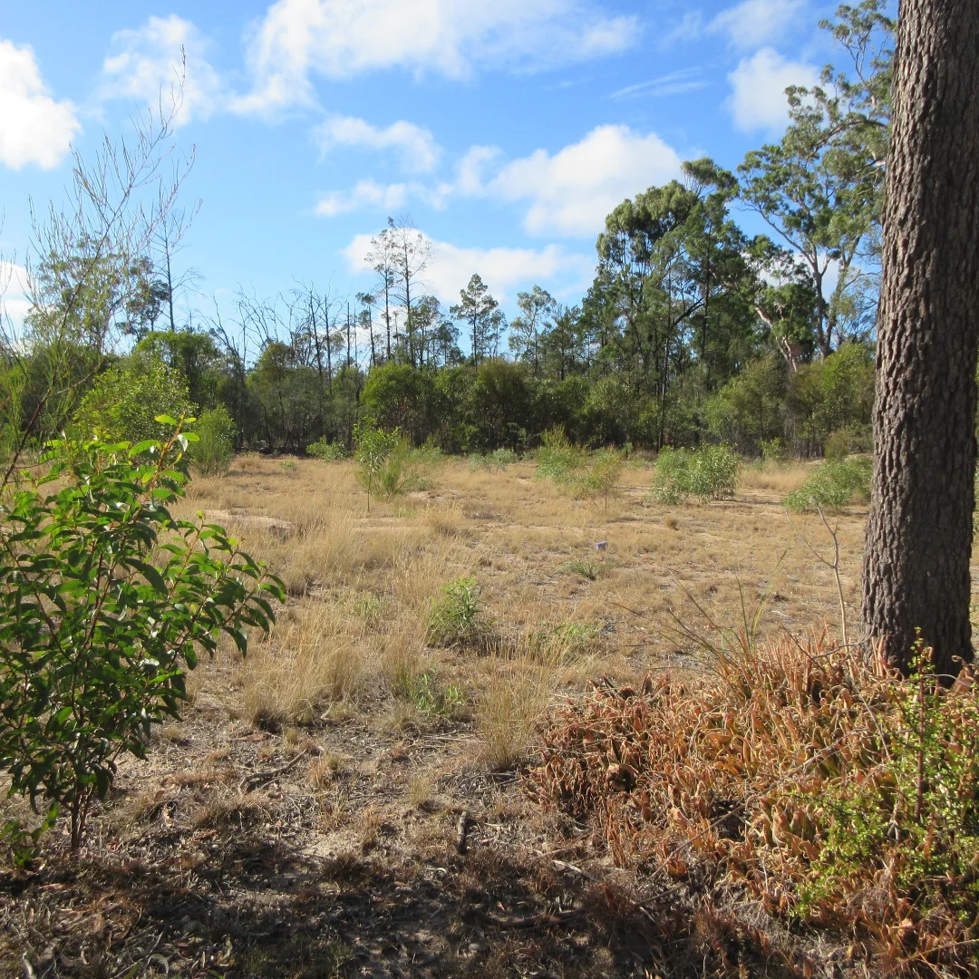 Additional image 8 of Tara QLD 4421