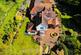 Additional image 38 of Gresford, Wrexham, LL12