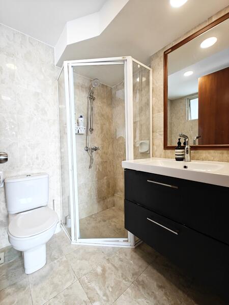 Additional image 7 of 175 Bencoolen Street