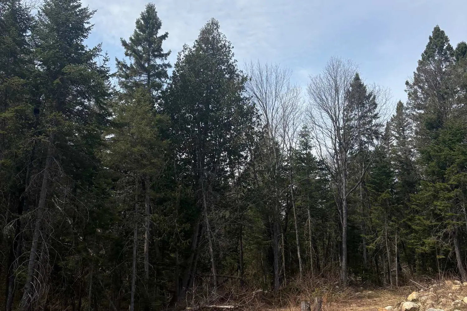 Additional image 13 of 1079 North Mackenzie Lake Road