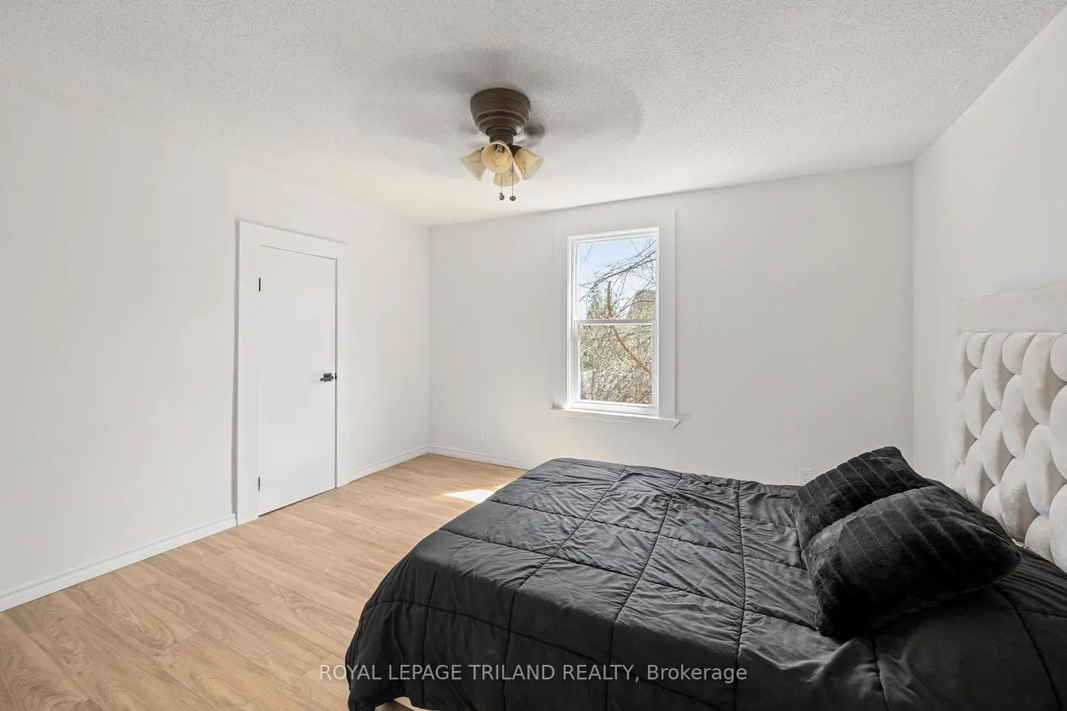 Additional image 10 of 549 Quebec Street