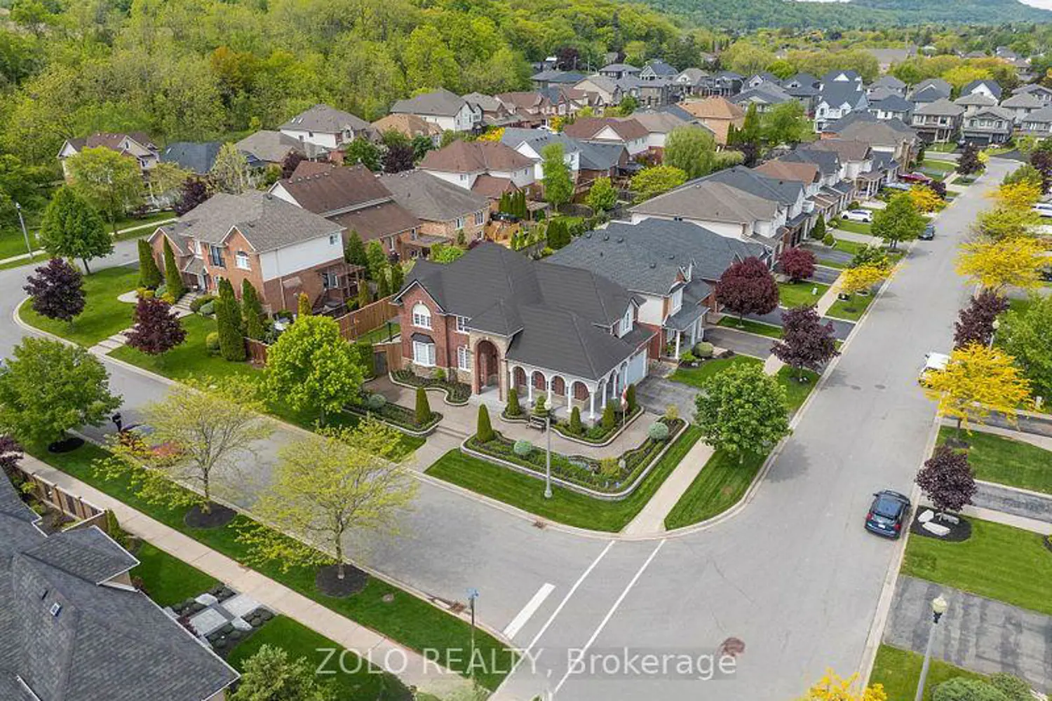 Additional image 19 of 42 Vinifera Drive