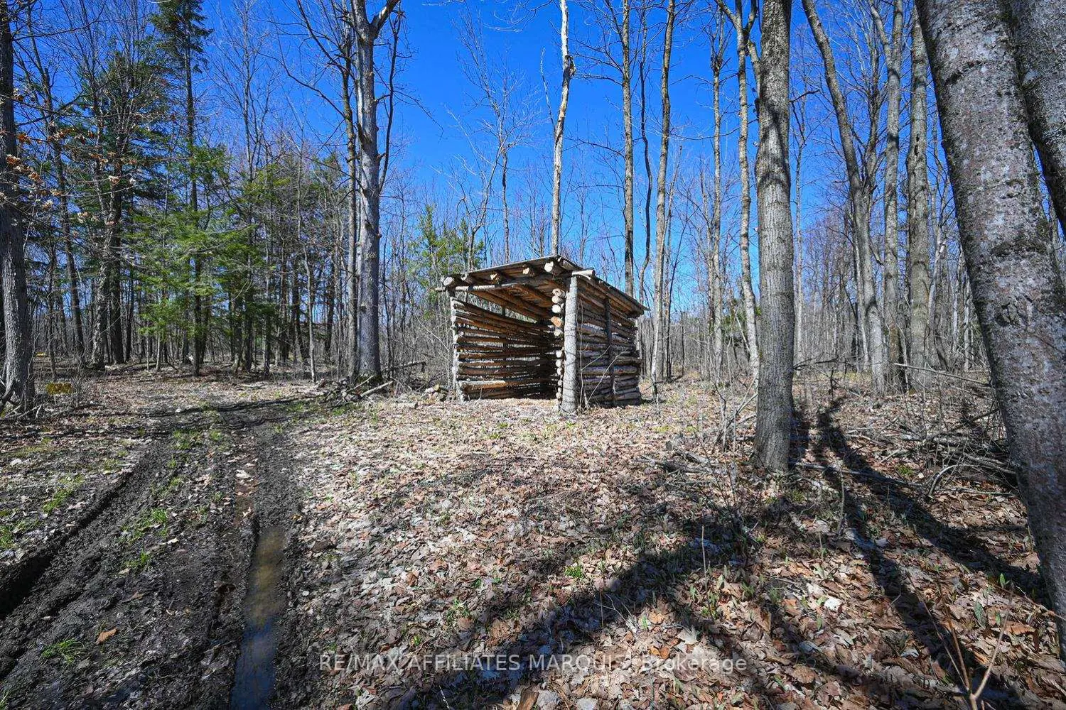 Additional image 19 of 375 Ferguson Tetlock Road