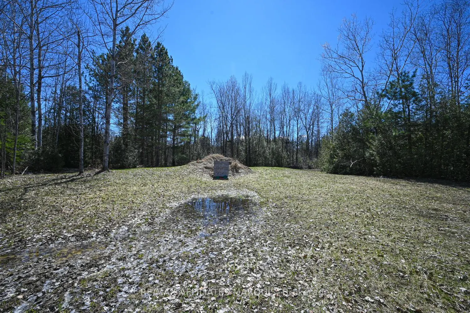 Additional image 20 of 375 Ferguson Tetlock Road