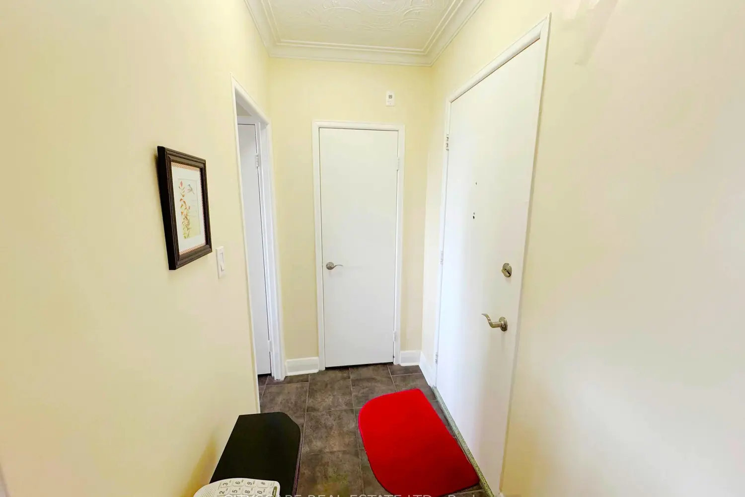 824 Brant Street 25 photo 4